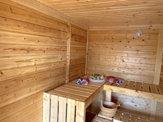 Ferienhaus Annika Sauna innen