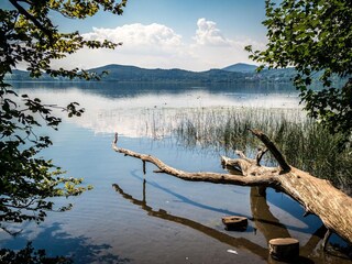 Casa per le vacanze Rieden (Eifel) Ambiente 28