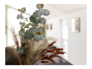 Casa per le vacanze Nordhorn Caratteristiche 15