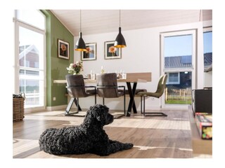 Casa de vacaciones Nordhorn Características 21