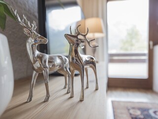 Appartamento per vacanze Seefeld in Tirol Caratteristiche 15