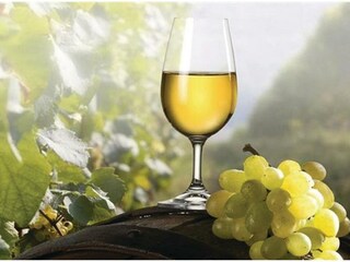 Villa Grubine Ambiente 51