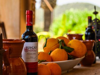 Finca Cala Murada Buitenaudio-opname 6