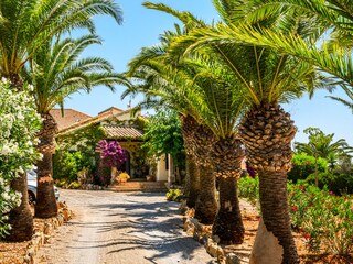 Finca Cala Murada Buitenaudio-opname 16