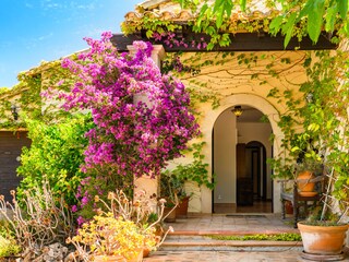 Tenuta Cala Murada Registrazione all'aperto 17