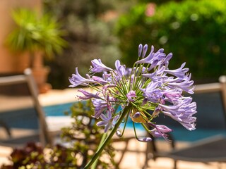 Finca Cala Murada Buitenaudio-opname 18