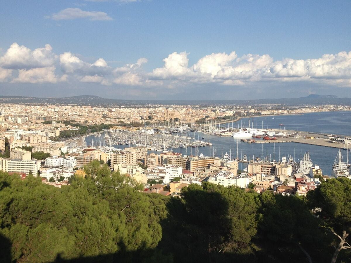 Ferienwohnung Palma de Mallorca Umgebung 27