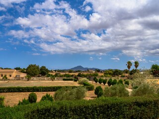 Finca Manacor Environment 39
