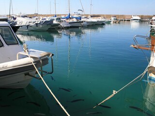 Villa Costa de la Calma Ambiente 28
