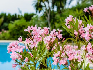 Villa Costa de la Calma Registrazione all'aperto 8