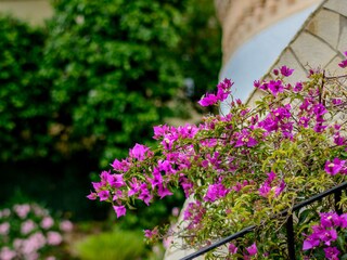 Villa Costa de la Calma Registrazione all'aperto 12