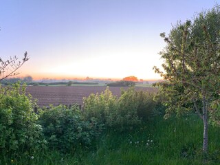 Feld neben Grundstück