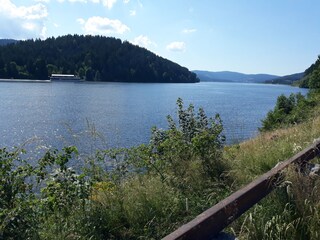 Schwarzwald Schluchsee