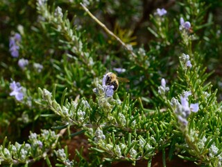 Casa per le vacanze Cerreto Guidi  31