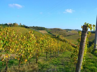 Type de propriété : Ferme Cerreto Guidi Environnement 34
