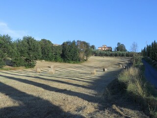 Fattoria Cerreto Guidi Registrazione all'aperto 28
