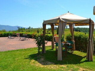 Bauernhof Cerreto Guidi  38