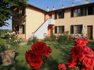 Bauernhof Cerreto Guidi Außenaufnahme 29