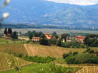 Casa per le vacanze Cerreto Guidi Registrazione all'aperto 21