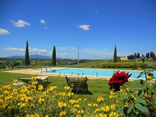 Apartment Cerreto Guidi Outdoor Recording 5