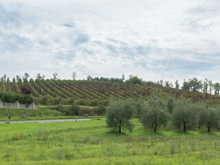 Apartment Cerreto Guidi Außenaufnahme 12