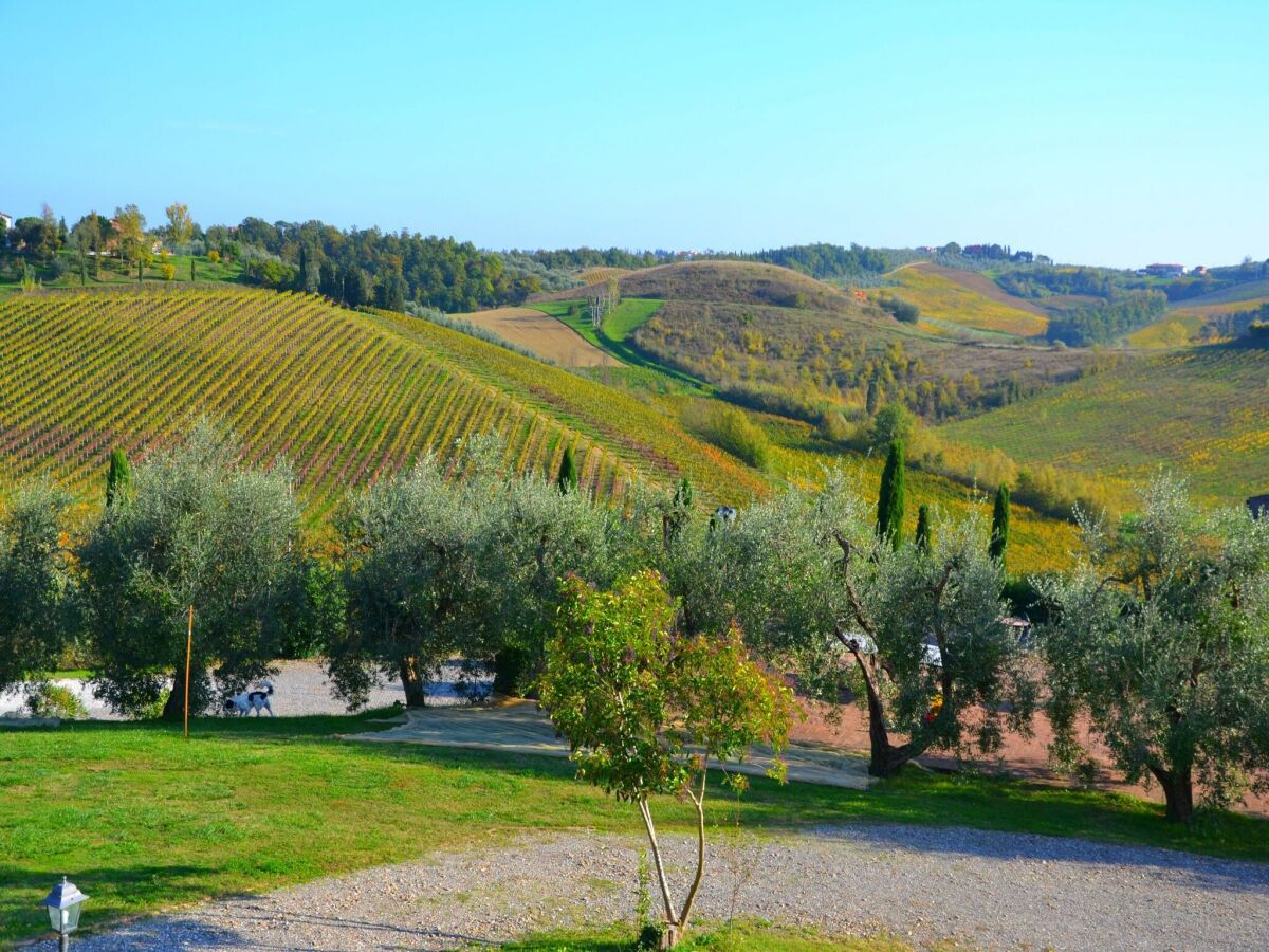 Apartment Cerreto Guidi Außenaufnahme 17