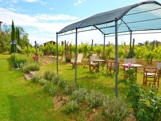 Apartment Cerreto Guidi  34
