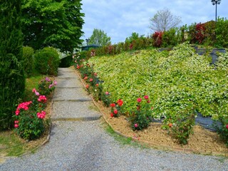 Appartement Cerreto Guidi  35