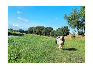 Vakantieappartement Diemelsee Buitenaudio-opname 24