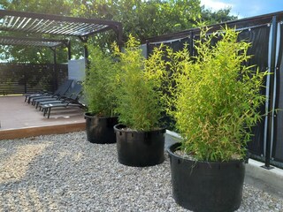 Villa Labin Buitenaudio-opname 10