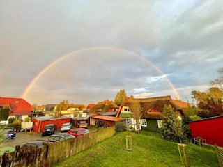 Regenbogen-Traum
