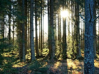 Ferienhaus Pålsboda  11