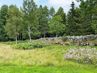 Ferienhaus Pålsboda Außenaufnahme 7