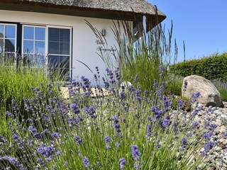 Casa per le vacanze Zinnowitz Registrazione all'aperto 8