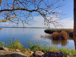 Casa per le vacanze Zinnowitz Ambiente 36