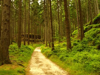 Wandern und Klettern in der Sächsischen Schweiz