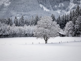 Spazierwege durch die Winterlandschaft