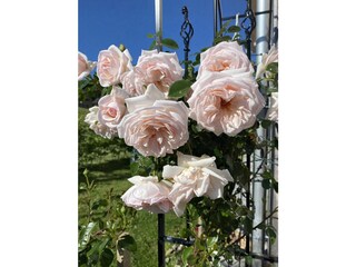 Appartamento per vacanze Schwarzenberg in Vorarlberg Registrazione all'aperto 7