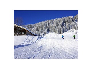 Appartamento per vacanze Schwarzenberg in Vorarlberg Ambiente 19