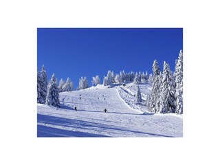 Appartamento per vacanze Schwarzenberg in Vorarlberg Ambiente 21