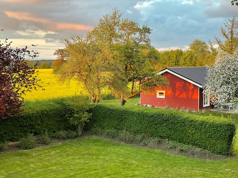 Ferienhaus Ferien-Holzhaus