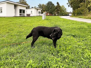 Vakantiehuis Visby Buitenaudio-opname 1