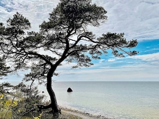 Casa per le vacanze Visby  11