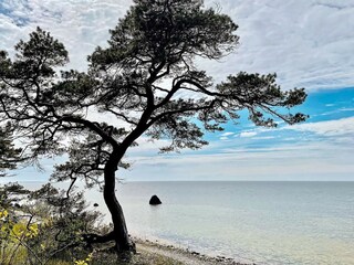 Holiday house Visby  12
