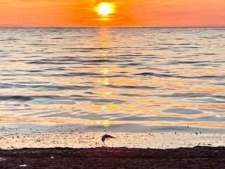 Casa per le vacanze Visby  18