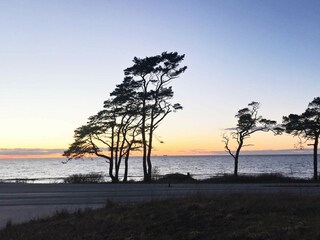 Holiday house Visby  21