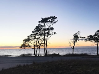 Vakantiehuis Visby  14