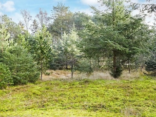 Holiday house Bjerge Strand  5