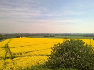 Ferienhaus Bjerge Strand  17