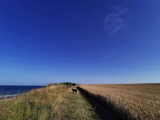 Ferienhaus Bjerge Strand  21